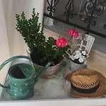 マイストレイル ペンション